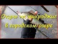 Ловля окуня на микроджиг в городском озере Ловля окуня на микроджиг в городском озере