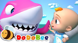Cartoon, Dodobee Baby Shark, Nursery Rhymes, Baby Song, Abc Songs, Baby Shark Dance, Kids Songs