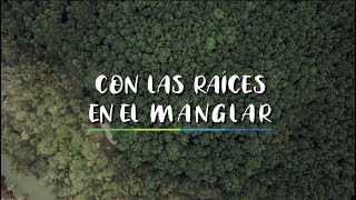 Con las Raíces en el Manglar