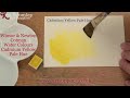 Winsor & Newton Cotman paint Cadmium Yellow Pale Hue 119
