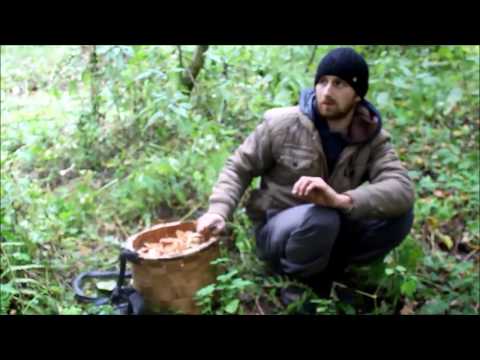 Грибы... Баня... Шашлык :) Грибы... Баня... Шашлык :)