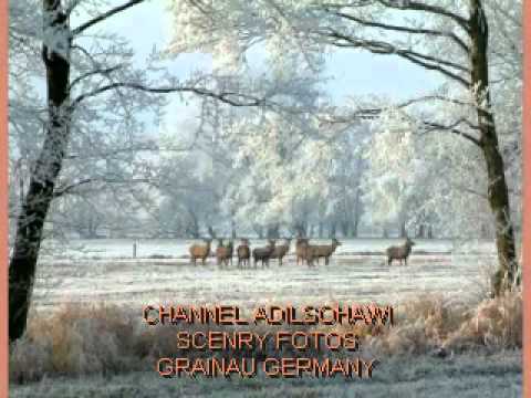 GHULAM ALI SINGS A SAD GHAZAL;DIL WALOغلام علی دِل والو کیا دیکھ -...