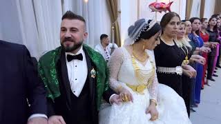Hali̇me & Zeyni̇ Mamxuran & Ji̇rki̇ Aşi̇reti̇ Düğün Segavi̇ Şi̇yar Berwari̇