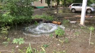 Видео Коммунальный гейзер на улице Хользунова в Саратове от FreeNews Volga, улица Хользунова, Саратов, Россия