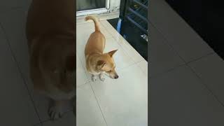 Video Thư Giãn Na Dành Tặng Mọi Người
