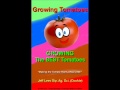 Deck Tomato Growing