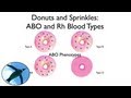 Blood Types:  ABO and Rh (with donuts and sprinkles!)