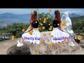 Nhạc buồn Nkauj Hmoob thất tình 😢😢😢