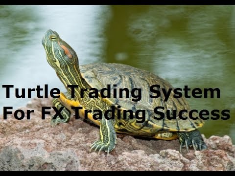 Turtle trading forex