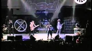 Watch Hed PE Stevie video