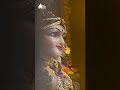 Sri Sri Radha Madhav Blissful Darshan 002 | Whatsapp Status | Devotional Song | Radha Krishna Status