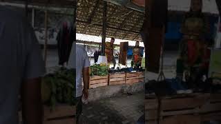Pasar Srowolan Puyer 19 Iklan