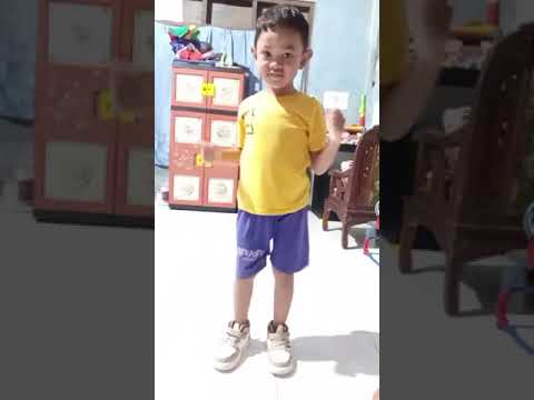 Senam anak indonesia Hebat TK