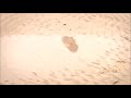 When The Rains Came Video preview
