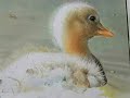 Painting A Day Demonstration - Duckling by Roberta Roby Baer PSA