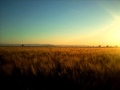 Pachelbel's Canon in D Major - Most Excellent Version