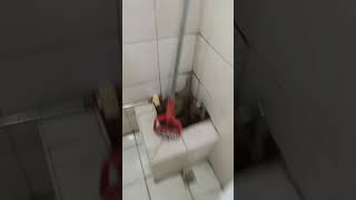 Asian Bath Public Bath Rooms At Their Best
