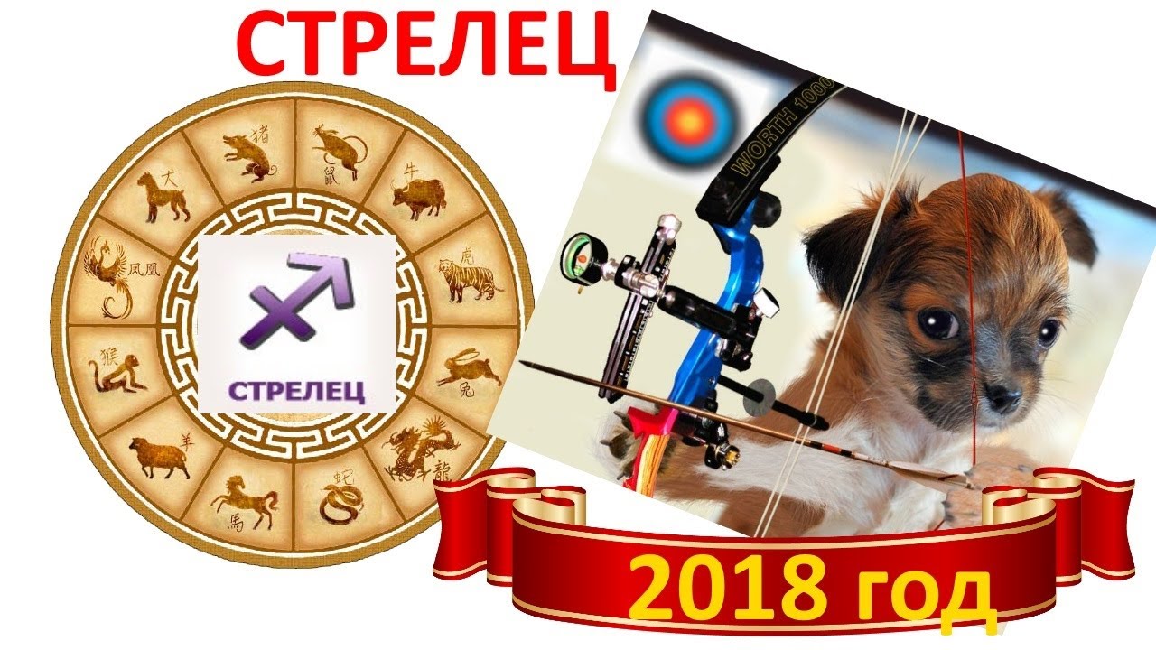 Астрологический прогноз для стрельца на 2018 год для женщин Астрологический прогноз для стрельца на 2018 год для женщин