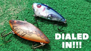 Fall Lipless Crankbait Fishing: Fishing At A Sand Pit Pond