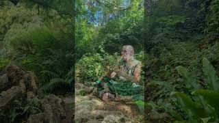 Dans Laura Du Métaséqoïa En Oiselle Compagnie