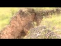 El Noticiero - Gigantesca grieta en Chilpancingo