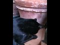 Pulizie sul balcone!