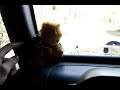 CB walkaround jeep jk