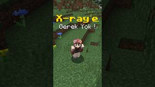 Artik Xray Kullanmaniza Gerek Yok