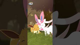 I Love Eevee Japanese Cry To Much