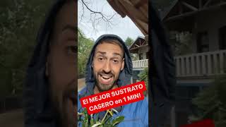 Cómo Hacer El Sustrato Ideal Para Tus Plantas Preparar La Tierra
