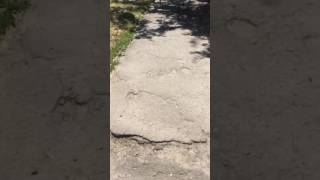 Видео Европейский тротуар по ул Европейской, Борисполь! от БориспольИгорь Петровскис, Европейская улица, Борисполь, Украина