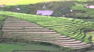 Madagascar Paysage Betsileo Madagascar Betsileo Landscape