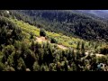 War Over Cannabis | Weed Country