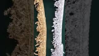 Kashees Kiran Lace Dupatta Kiran Lace Ujli Kiran Lace L