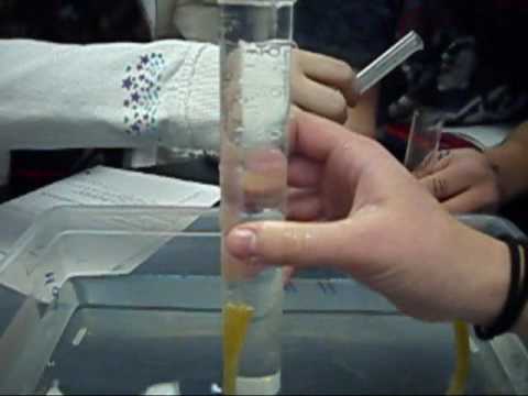 enzyme reaction lab 2 0002 orders of reaction graphs. enzyme reaction lab 2 0002