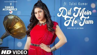 Dil Mein Ho Tum | T-Series Acoustics | TULSI KUMAR  | WHY CHEAT INDIA  | Bollywood Songs