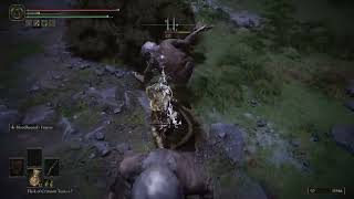 Elden Ring, Easy Farm