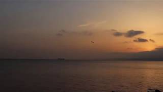 Florya Sahil