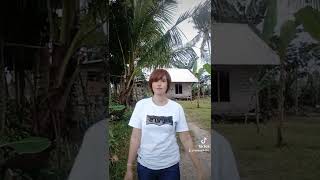 Tiktok Lombok
