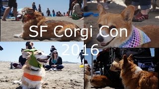 Norcal Corgicon Sf