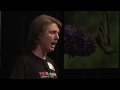 What if we linked curiosity to education?: Cole Harmon at TEDxMahtomedi