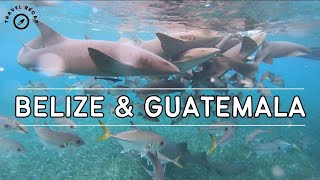Belize & Guatemala - Snorkeling With Sharks & Mayan Ruins G Adventures