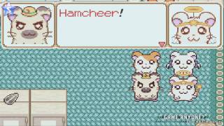 Lets Play Hamtaro Ham-Ham Heartbreak Part 42 - Hulahula Finale 22