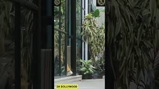 Ananya Pandey New Hot Bikini Video, Ananya Pandey Hot Bikini Photoshoot, Hot Y Video