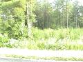 Webcast of Approved Subdivision Property at 1138-39 Ben WIlliams Road Near Jacksonville, NC