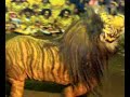 image Kuda Lumping Temanggung Singo Barong Ngesthi Budoyo