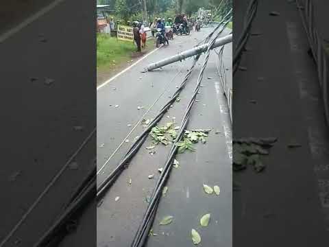 randu dongkal pemalang !! hati"..banyak tiang listrik dan pohon yg tumbang
