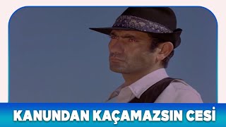Vurguncular Türk Filmi Kanundan Kurtulamazsın Cesi