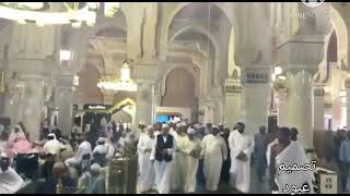 هوى النبي جنني Hevennebi Cennenni