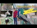 Himalayan Bird Park (Shimla)